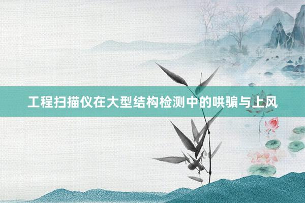工程扫描仪在大型结构检测中的哄骗与上风